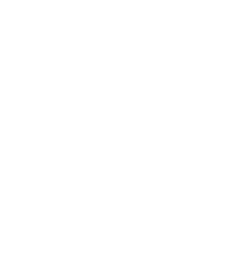 Digital icon